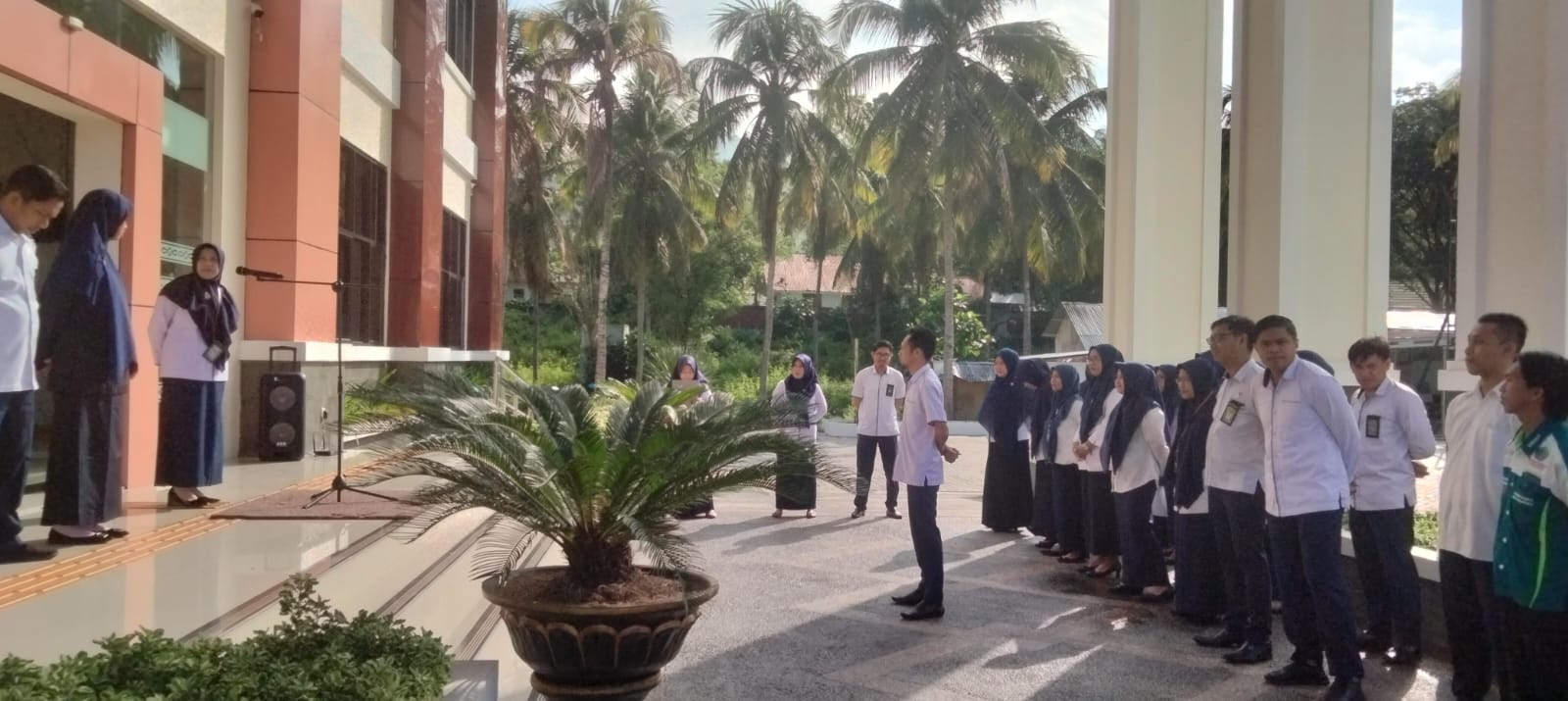 WhatsApp Image 2023 07 03 at 08.12.09